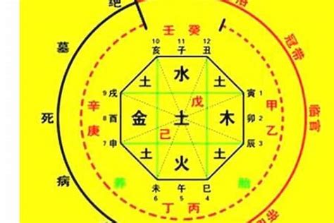 喜用神怎麼算|生辰八字喜用神在线查询